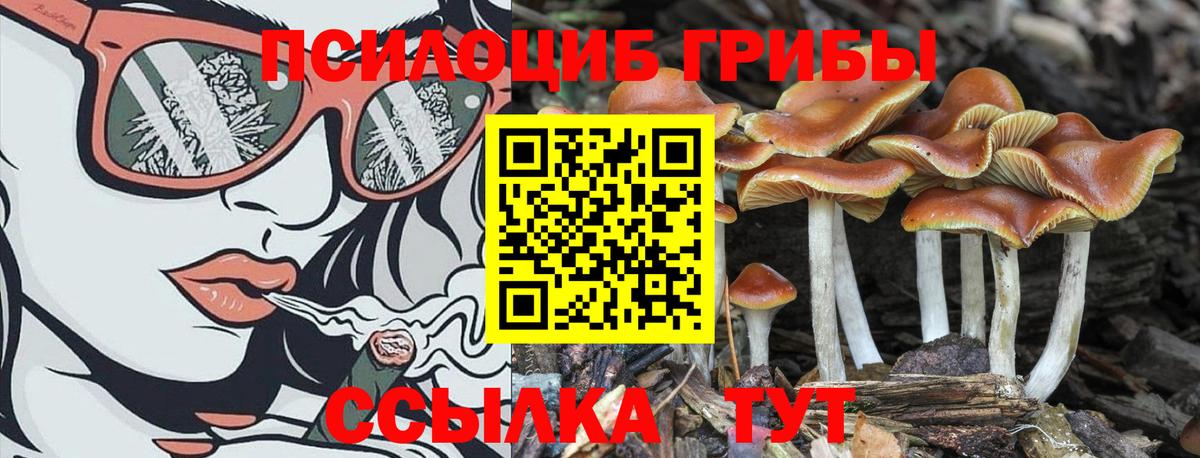 Псилоцибиновые грибы Magic Shrooms Новотроицк