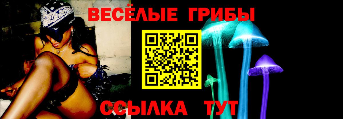 Псилоцибиновые грибы Psilocybine cubensis  Вход с VPN  Новотроицк  Псилоцибиновые грибы ЛСД 